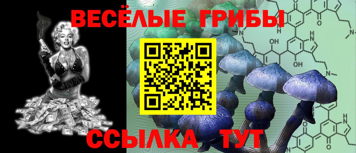 Лосино-Петровский  КОКАИН  Кодеин  Мефедрон   Вход с VPN  Бошки Шишки  ГАШИШ 